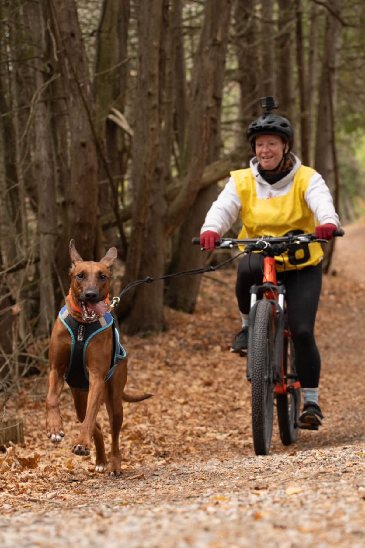 Fall Freya Bike Joring